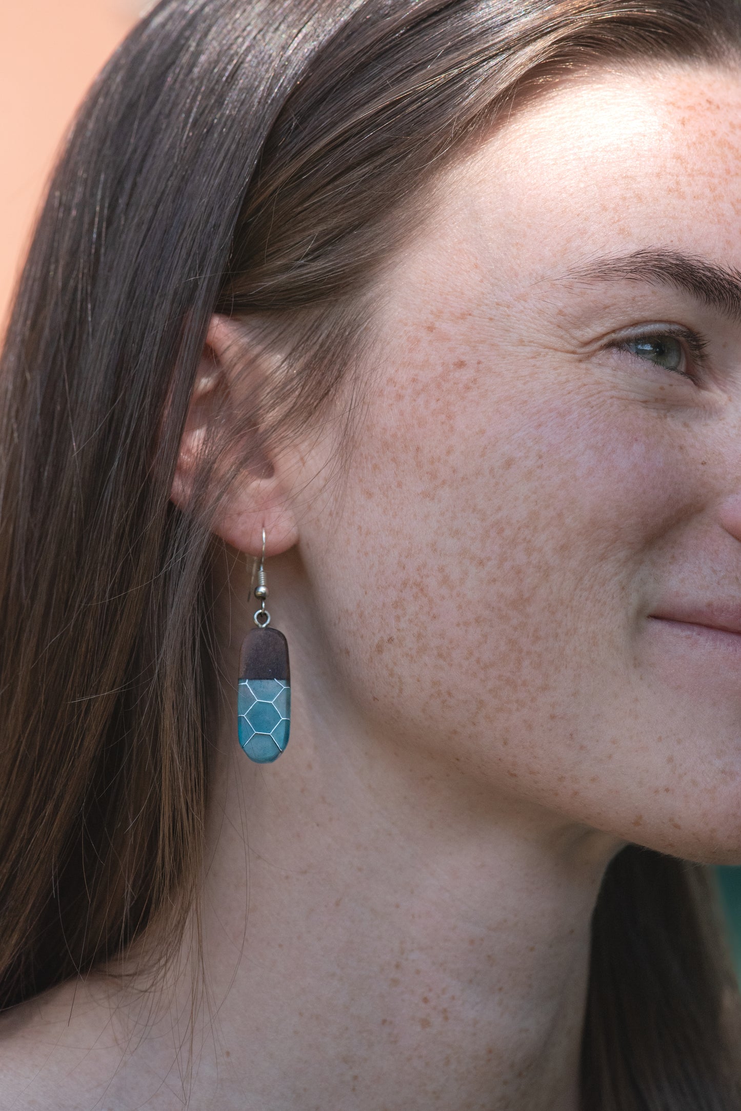 Walnut Wood and Aluminum Honeycomb with Blue Resin Earrings